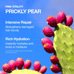 FromLabs hydration and strength balance from prickly pear and panthenol.
