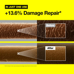 FROMLABS Damaged hair before-and-after visuals highlight repair