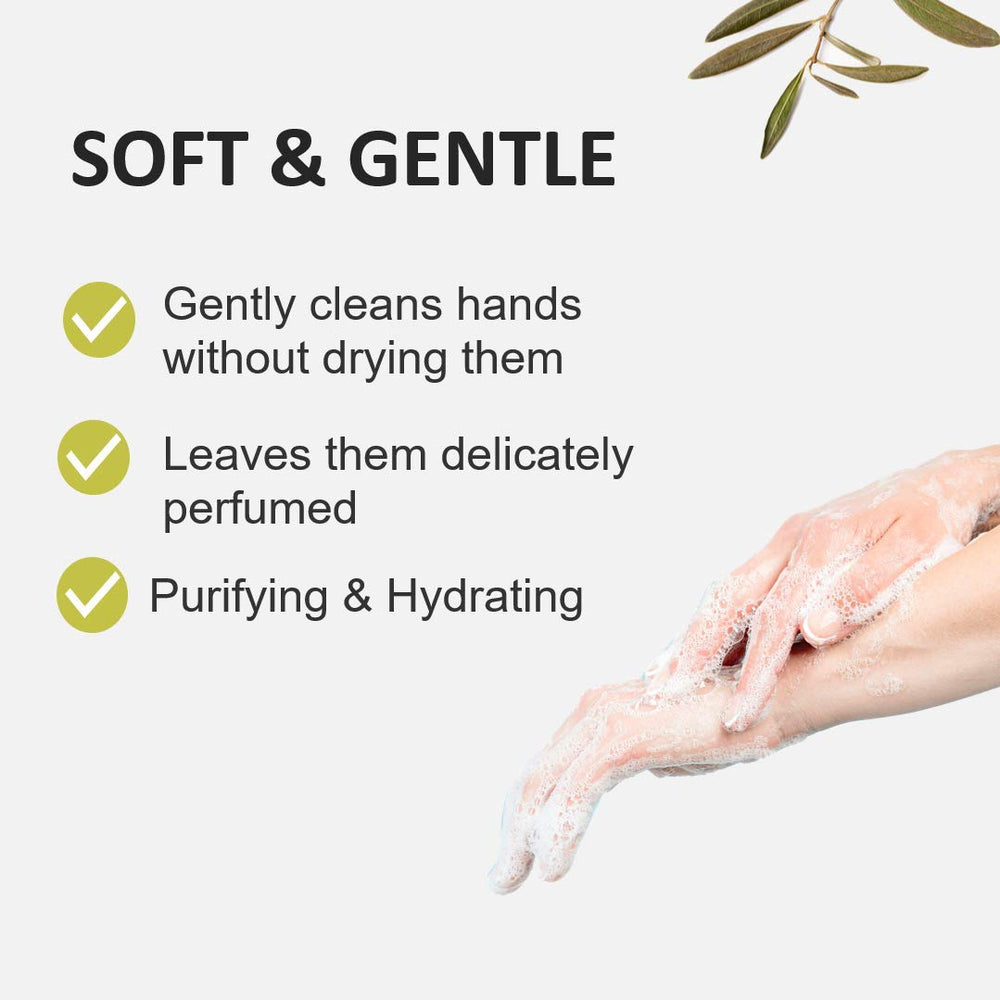 Close-up of coriander olive oil soap with olive tree extracts moisturizing hands