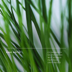 Future Society Floating Forest perfume note salted musk, subtle warmth and depth.