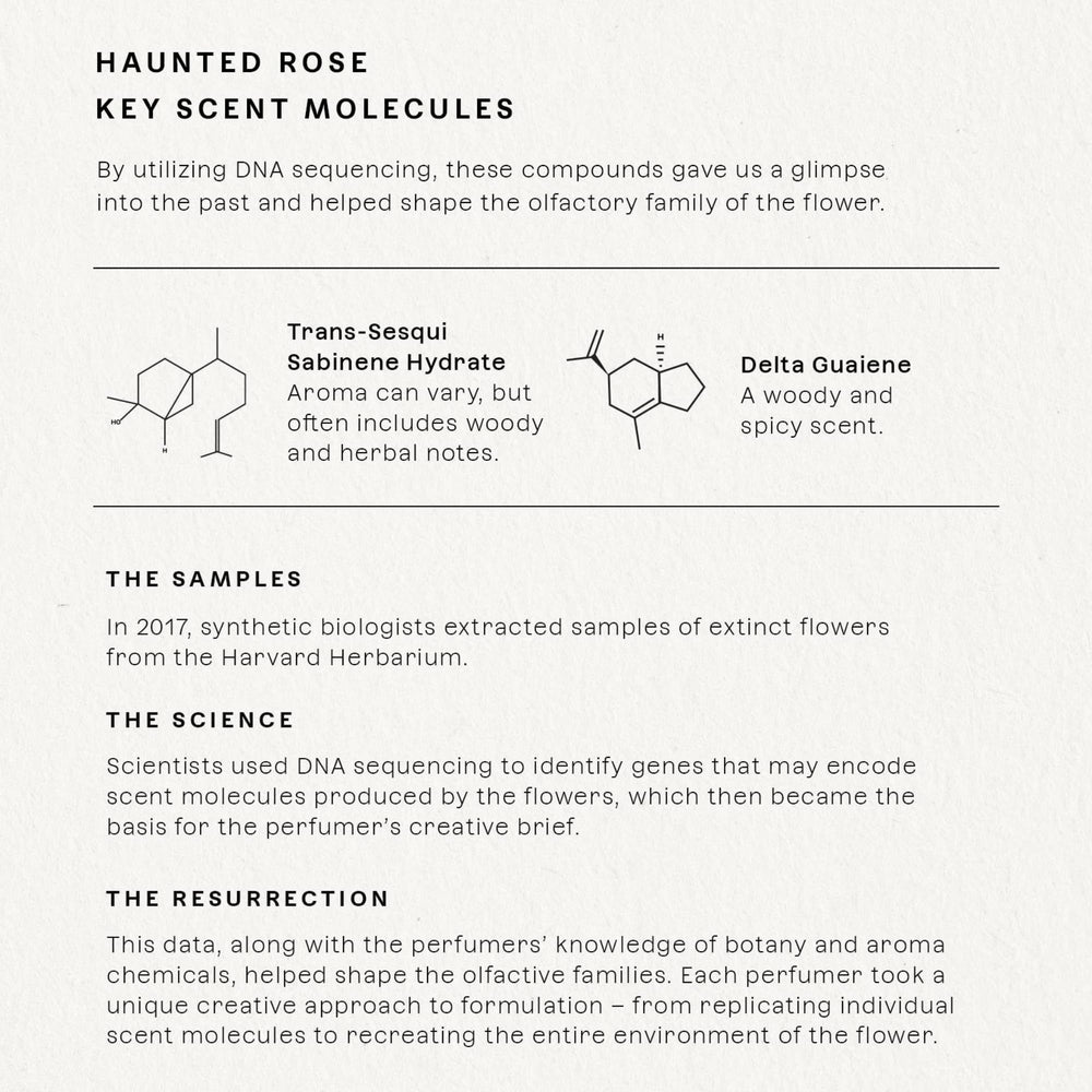 Future Society Haunted Rose packaging detail shows elegant glass, perfect for a luxury gift.