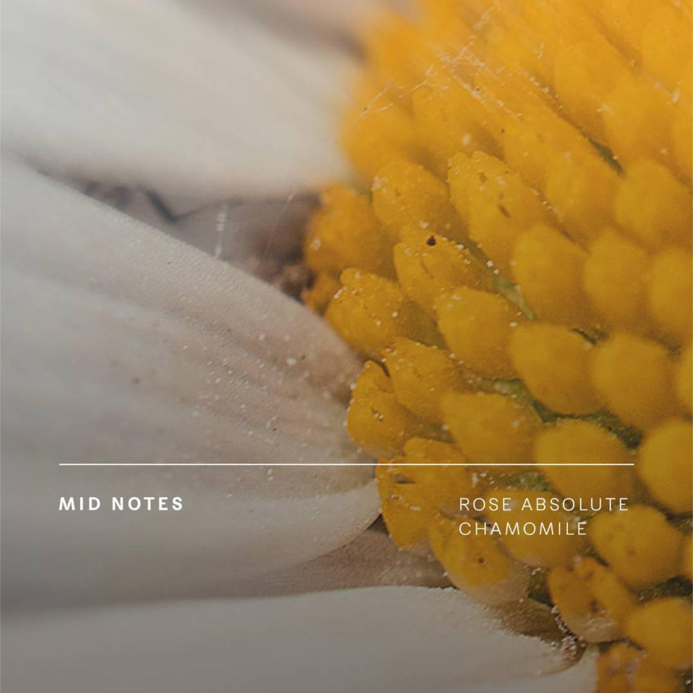 Future Society Invisible Woods iris and chamomile create airy elegance