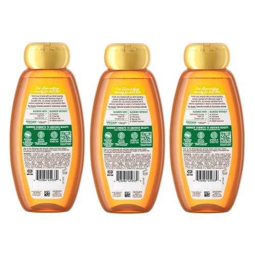 Garnier Whole Blends bottle close-up moisturizes dry hair