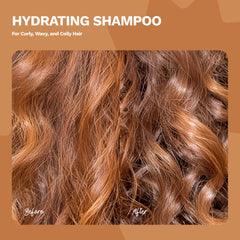 Ginger Milk Hydrating Shampoo frizz control on curls.