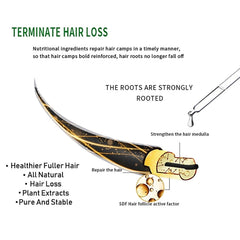 Grospe product demonstrates scalp blood circulation benefits with calm application