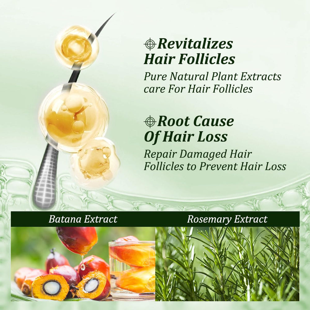 Gypsophila Batana Oil Shampoo creamy lather demonstrates sulfate free cleansing