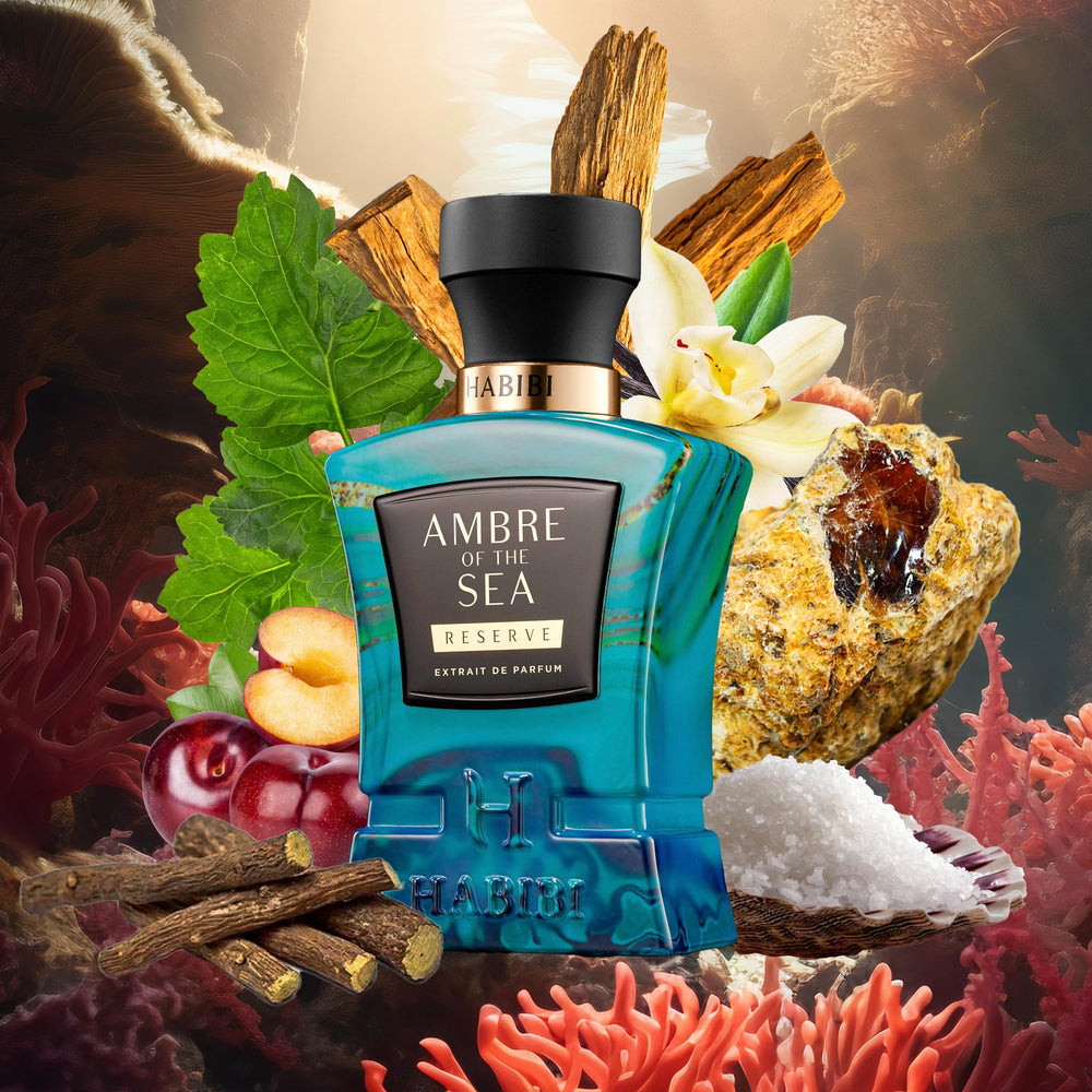 H HABIBI Ambre Of The Sea top notes: Bergamot and Sea Salt for a bright opening.