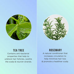 HASK ingredients close-up highlighting natural, vegan Tea Tree & Rosemary formula.
