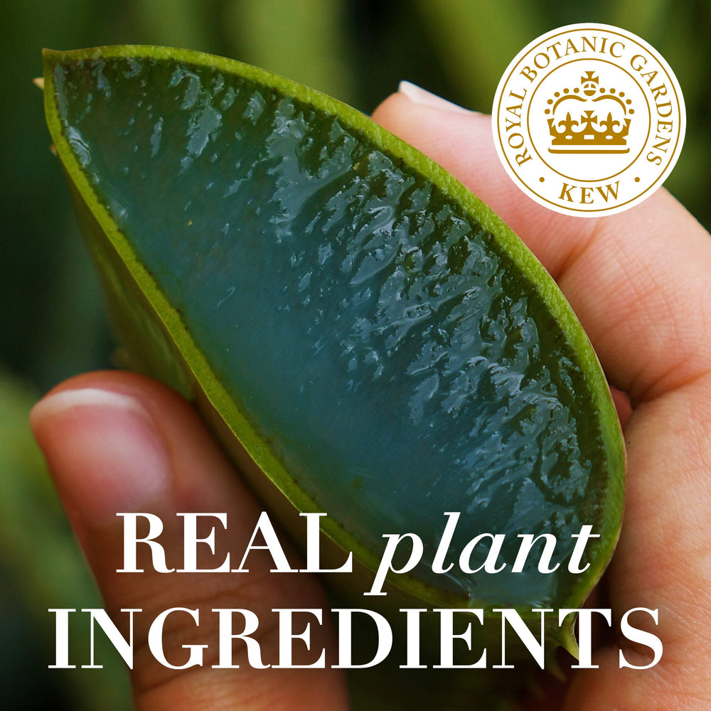 Herbal Essences bio:renew Hemp and Aloe Repairing Mask free-from badge communicates gentle formula