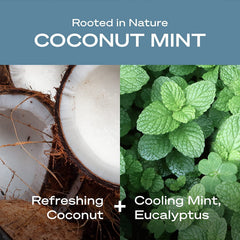 Hey Humans aluminum-free formula with coconut oil and arrowroot.