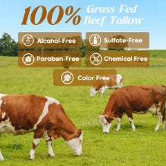 Hicream balm ingredients visual features grass-fed beef tallow and raw honey.