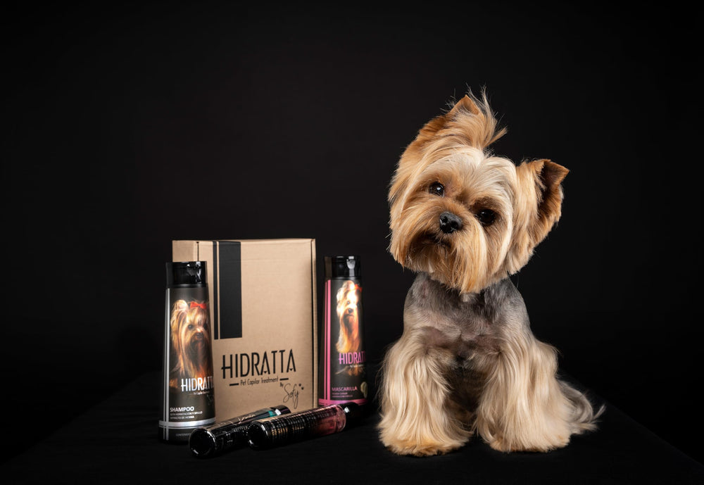Hidratta Premium Mask bottle 370ml for nourishing coat restoration.