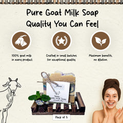 HushHush Farm Lavender Mint soap supports daily skincare with soft, hydrated skin.