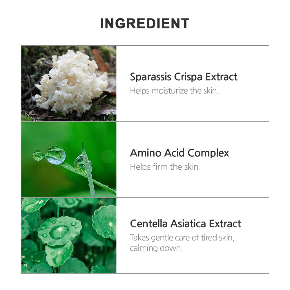 INCELLDERM Giant BYoungPool Leaf Water close-up—botanical hydration source for skin.