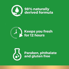 Eight-bar pack of Irish Spring Original soaps displayed for value and consistency.
