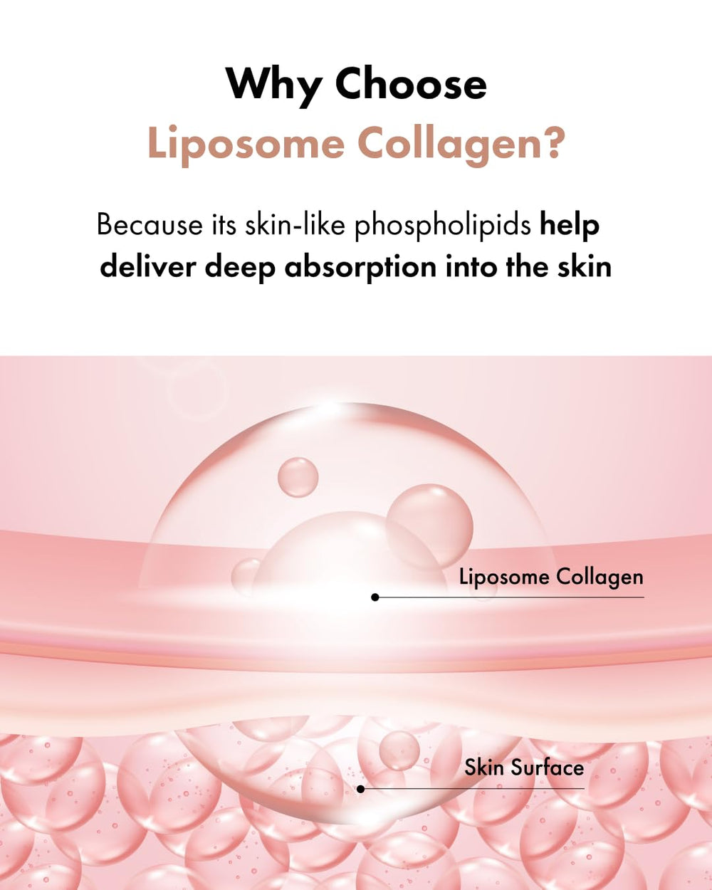 Panthenol and ceramide icons in It'S SKIN snail collagen cream ingredients