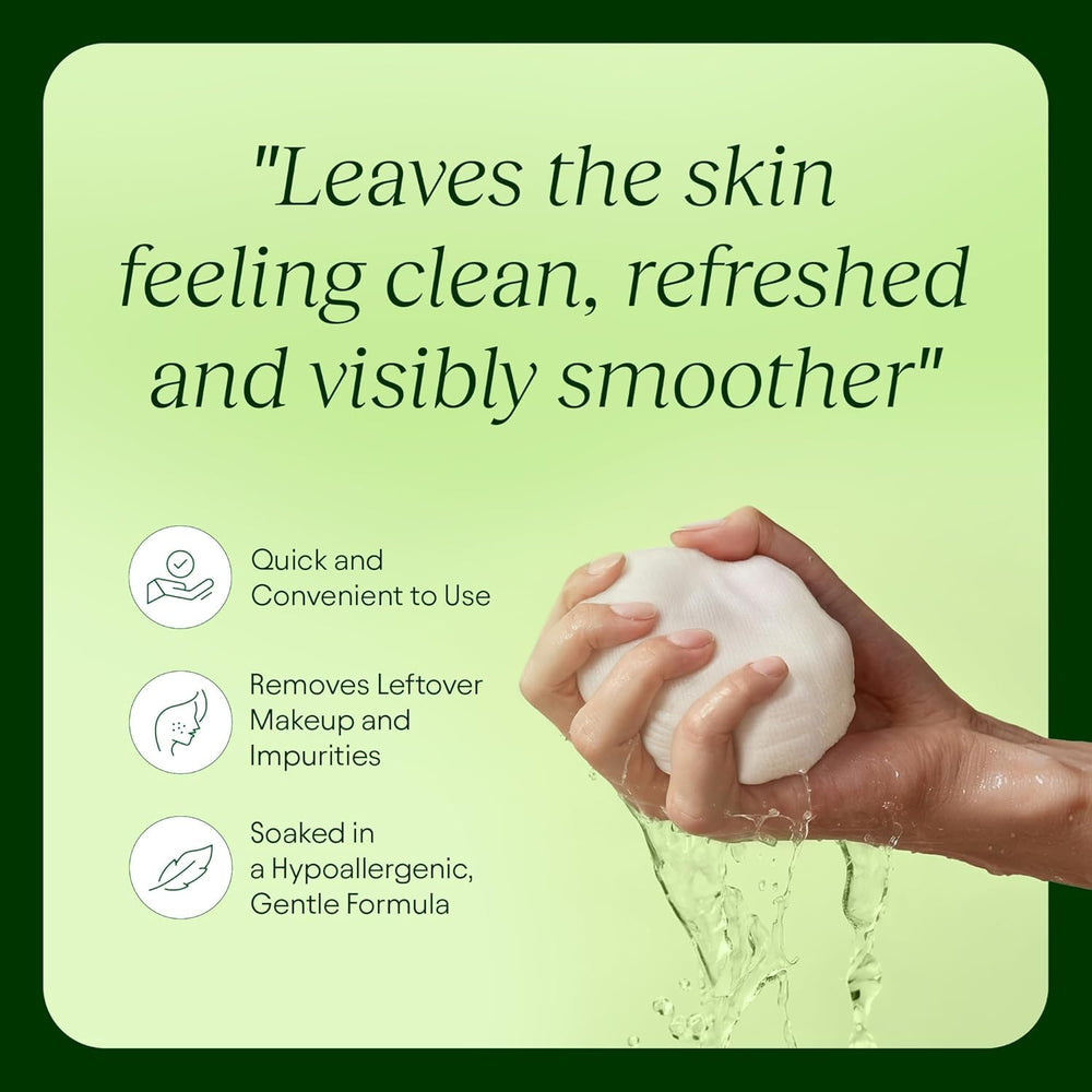Centella asiatica close-up showing calming and pore-balancing properties.