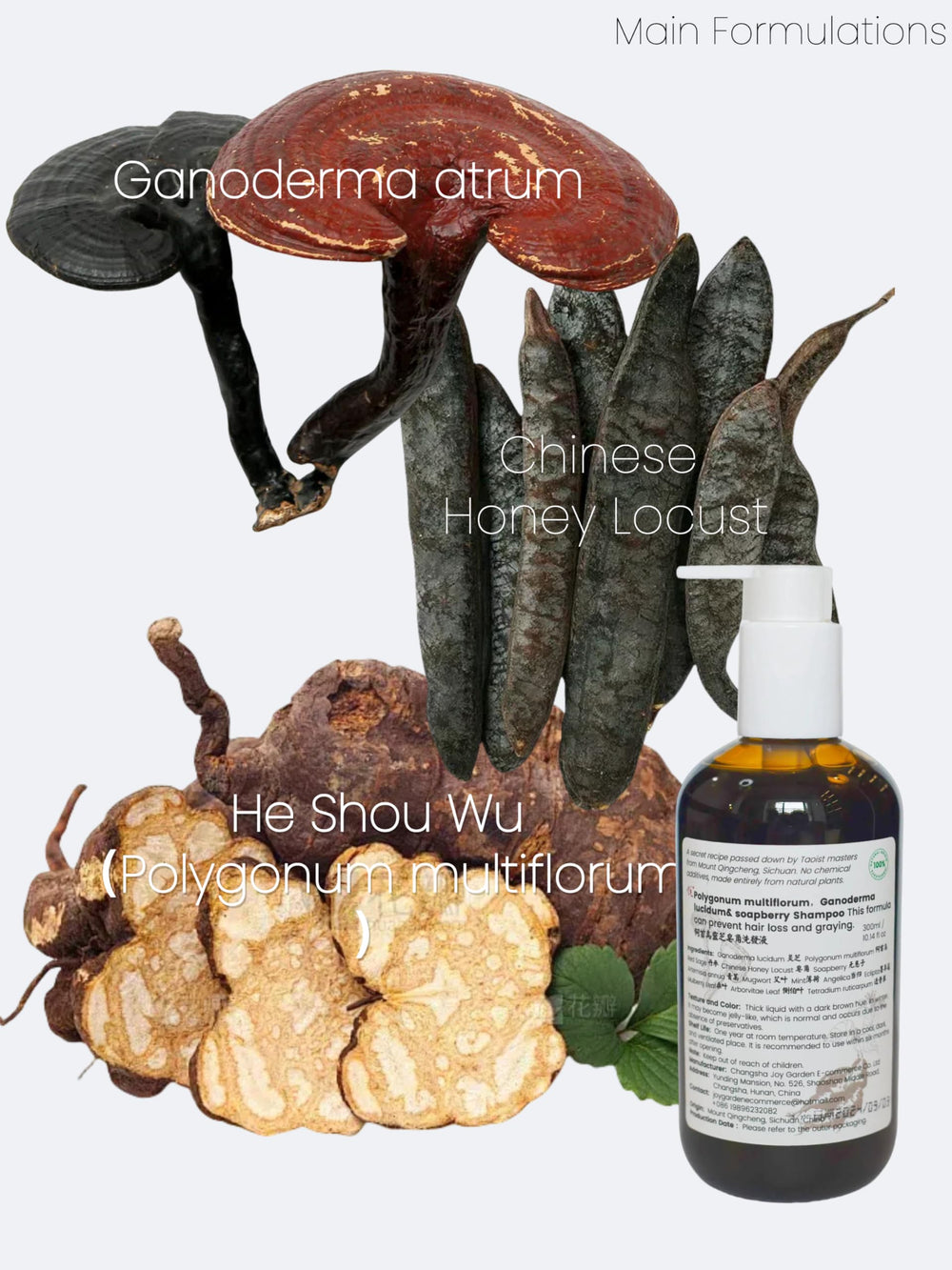 Joy Garden Reishi mushroom shampoo bottle strengthens roots with traditional blend.