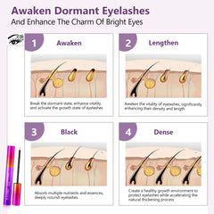 Closeup of lashes before and after using JULYBRO serum for potential lengthening