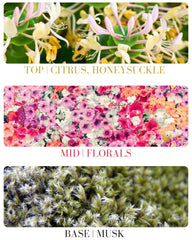 Kailuna Co. Honeysuckle Mist spray action for quick mood lift