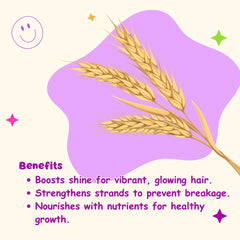 Kid-friendly packaging and safe hold for young hair