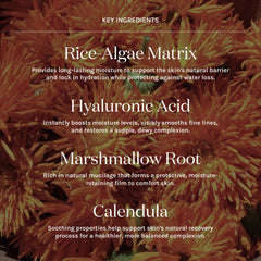 Aloe and Calendula blend in Kari Gran Moisture Milk