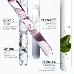 Kérastase Chroma Absolute after use shows enhanced shine.