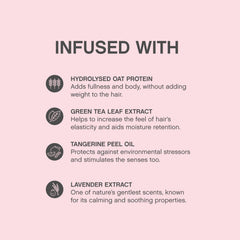 Kevin.Murphy Angel.Wash with Green Tea Extract supports elasticity in hair.