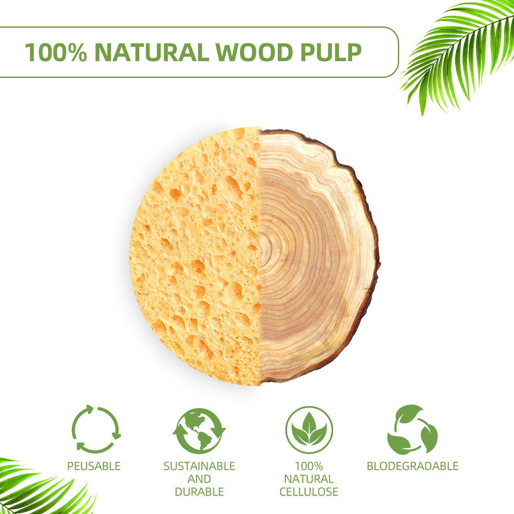 Kickleen eco-friendly cellulose sponge reusable and easy to store.