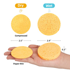 Kickleen expanded round facial sponge showing water absorption for softer cleansing.