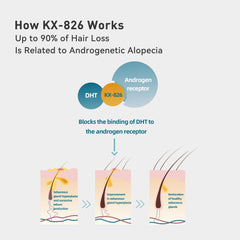 KINTOR KX-826 formula with plant-based extracts for scalp care