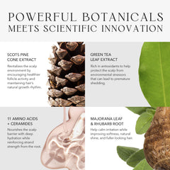 KIWABI Root Beaute scalp closeup showing fast-absorbing, non-greasy formula