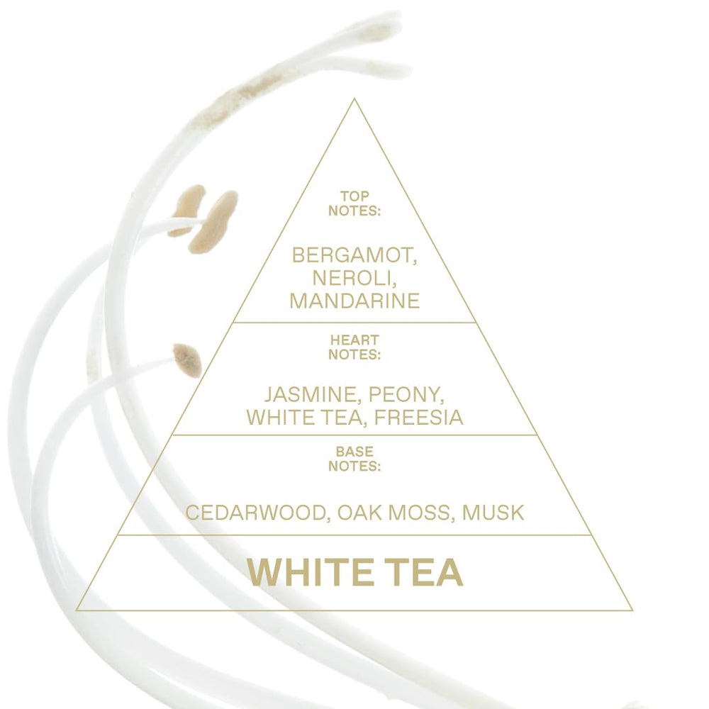 KORRES White Tea soft musk base creates lasting comfort close to the skin.