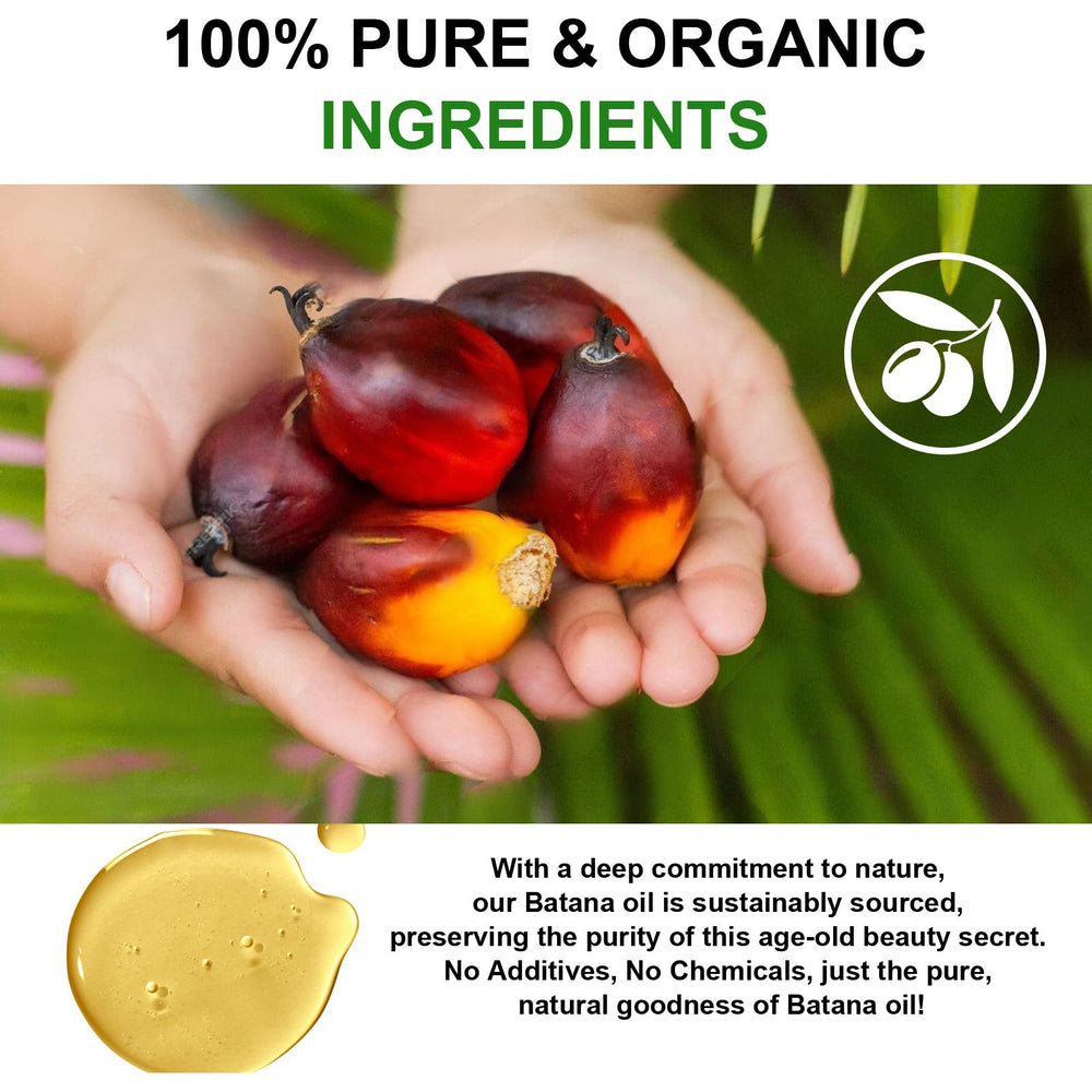KPNEMA Batana Oil applied to hair for elasticity