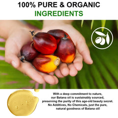 KPNEMA Batana Oil applied to hair for elasticity
