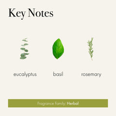 Rosemary Eucalyptus bar soap's dense quadruple-milled texture for lasting softness.