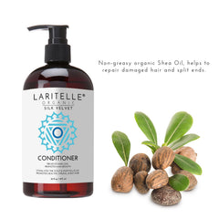 Laritelle Organic Conditioner ingredients closeup, rosemary and chamomile displayed
