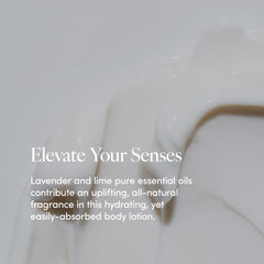 Close-up of safflower and almond oil ingredients in LATHER lotion.