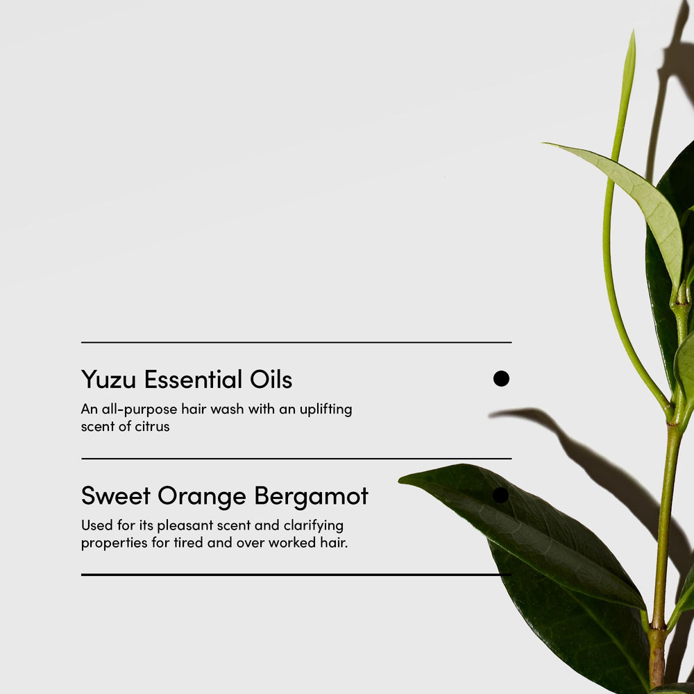 LATHER Yuzu Bergamot Hair Wash in a spa-like shower setup.