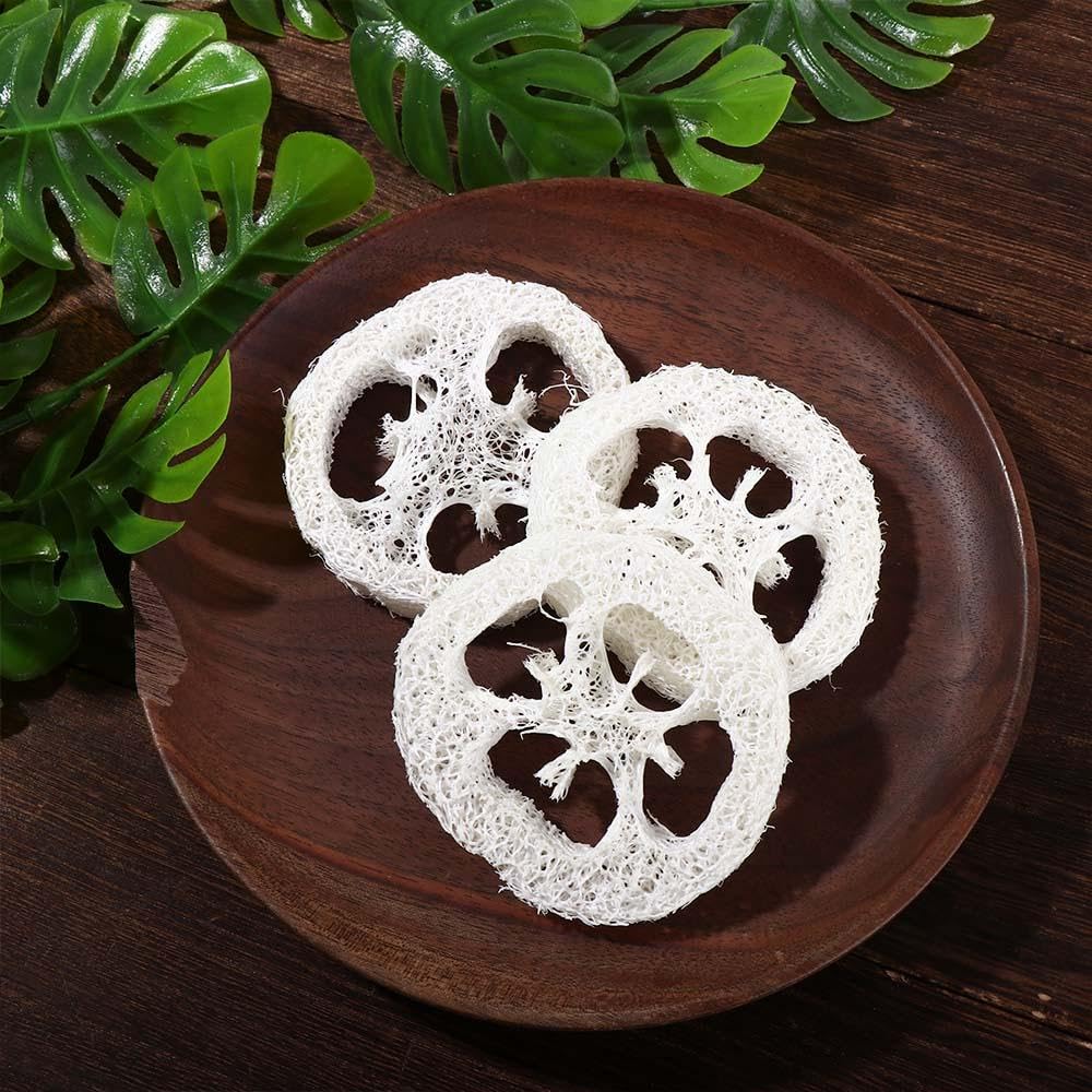Leadigol loofah slice serving as a soap dish with drainage
