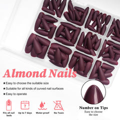 Lifextol medium almond stiletto nails for natural look and comfort