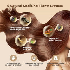 Applying Limer Hair Dye Shampoo on dry hair for quick color results