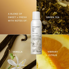Living Proof Perfect Hair Day application scene shows powder absorbing oil.
