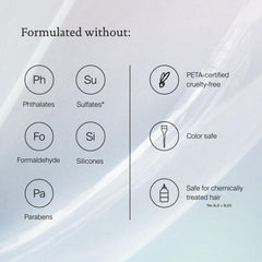 Living Proof Full Dry Volume & Texture Spray oil-absorption refreshing style