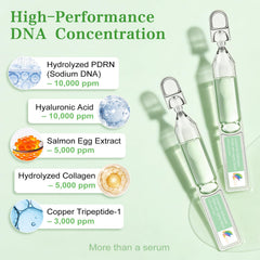 LOLX antioxidant peptide defense grid helps shield skin from environmental stress.