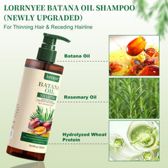 Lorrnyee Rosemary extract shampoo foam ready to cleanse scalp