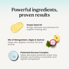 Graphic of Mangosteen, Algae, and Quince Extracts powering the formula