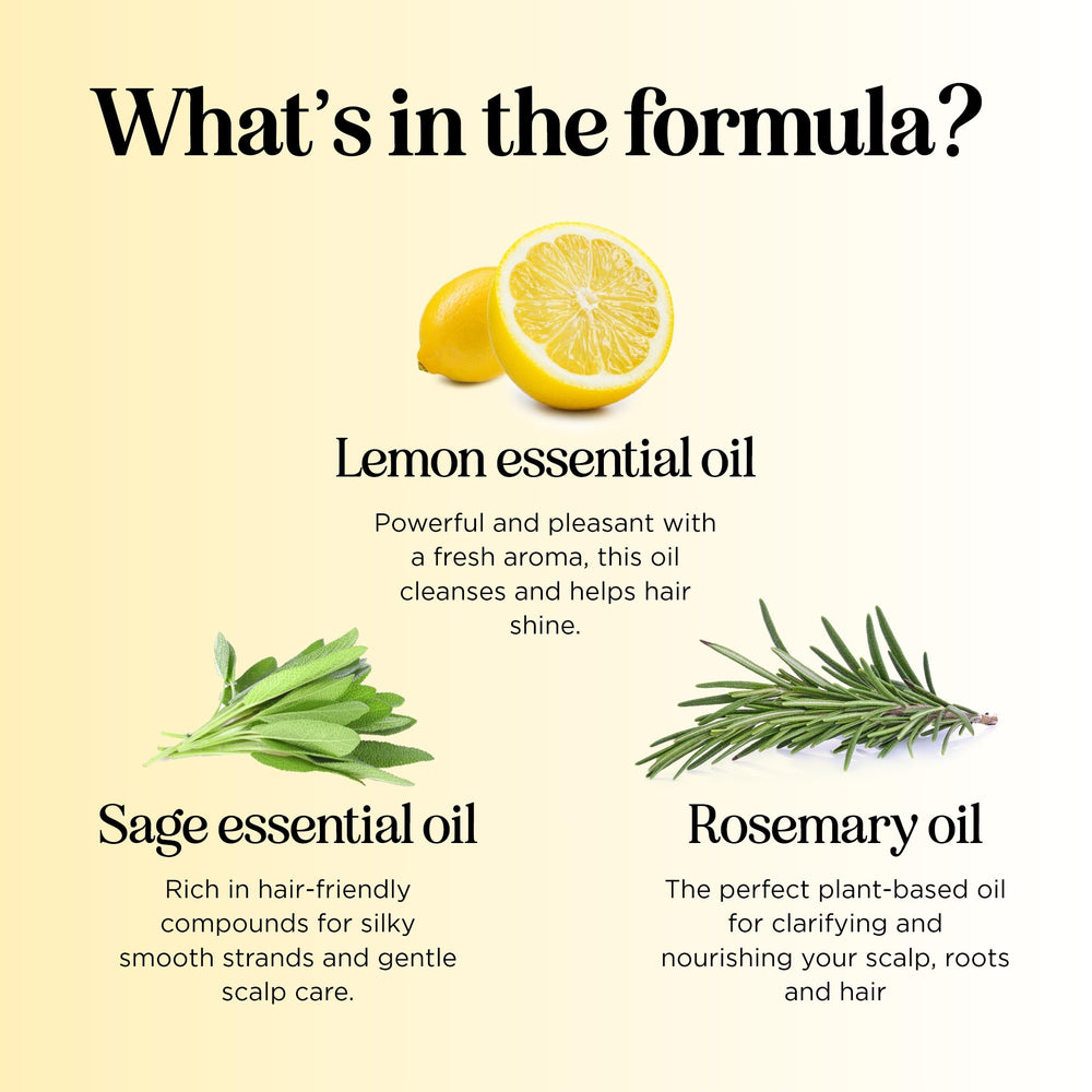 Maple Holistics plant proteins hair care visual for strength and bounce