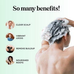 Maple Holistics Rosemary Oil ingredient highlighted for scalp care in the shampoo.