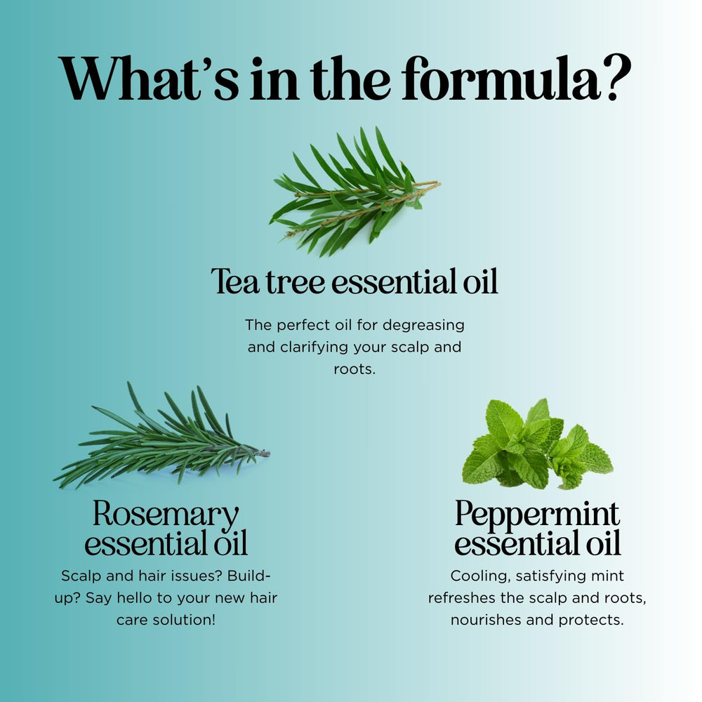 Maple Holistics rosemary tea tree mint shampoo deep cleans without harsh sulfates.